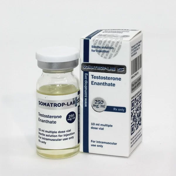 Testosterone Enanthate 250mg/ml – Somatrop Lab