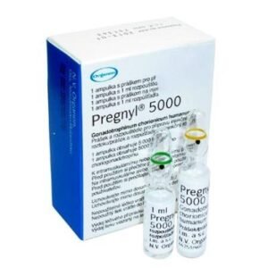 Pregnyl 5000 (Gonadotropin) kaufen zur Testosteronproduktion Pregnyl 5000 fördert Hormonbalance und Testosteronregulation Pregnyl 5000 für eine effektive Post-Cycle-Therapie (PCT)